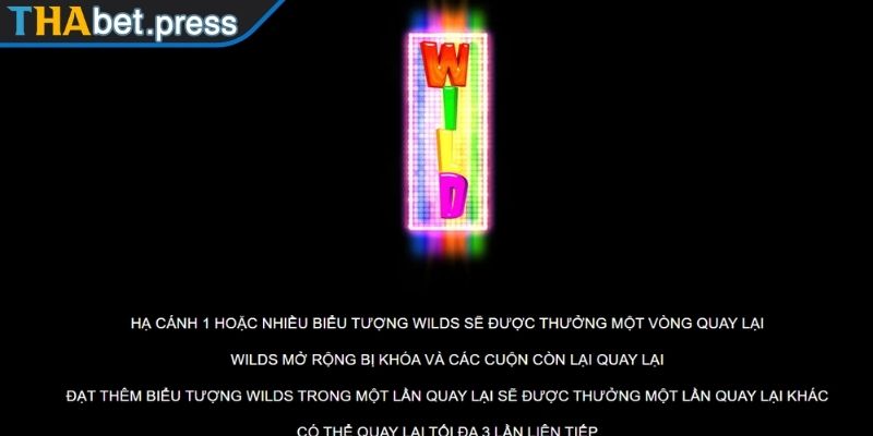 Tính năng quay miễn phí