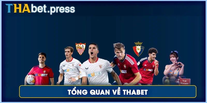 Thabet 41 Tổng quan về Thabet